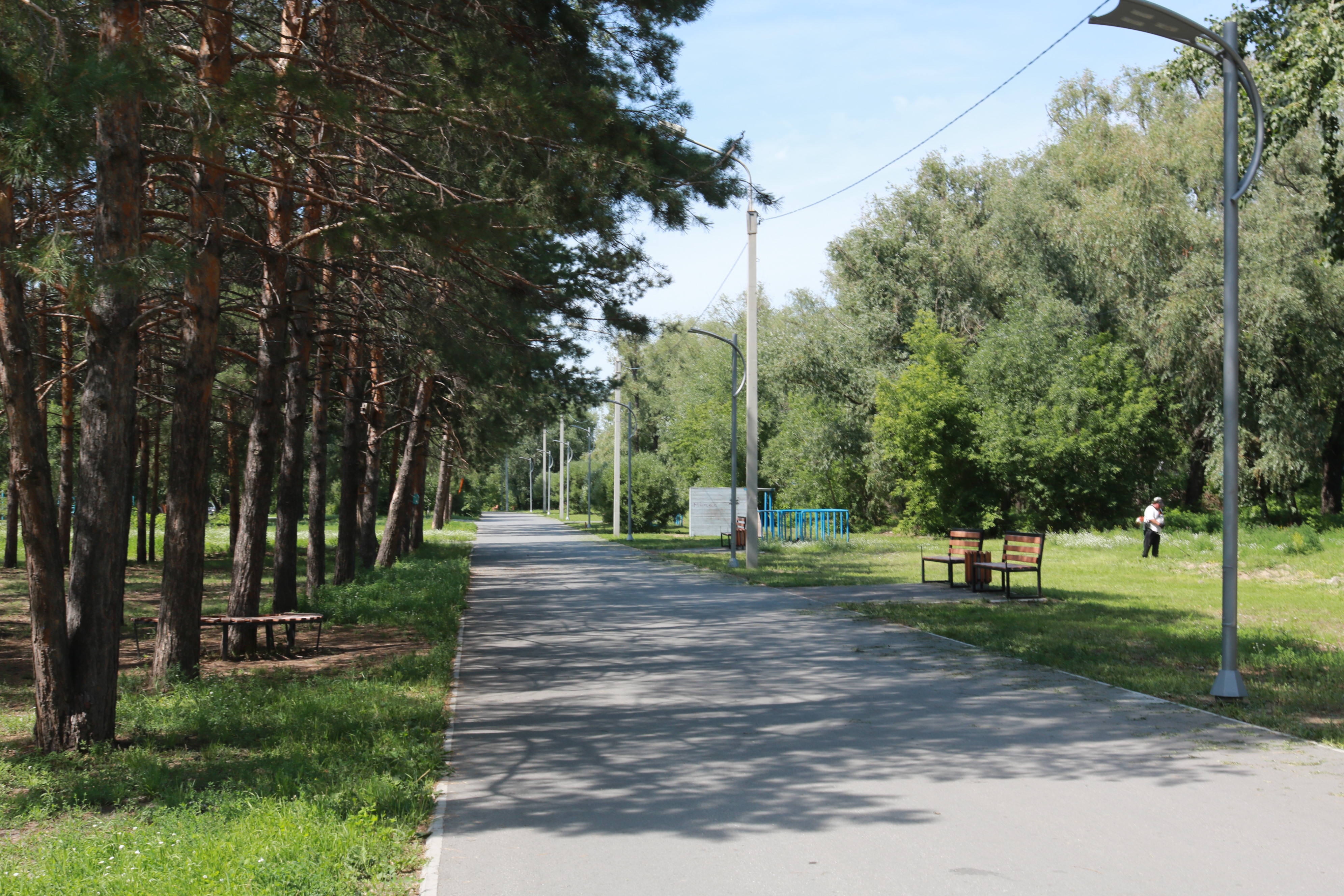 Стали известны подробности передачи в концессию «Зеленого острова» |  Экономика/Бизнес